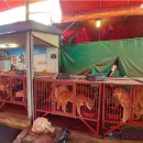 구포정비 이미지