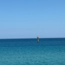 울진해물탕 | 경북 울진 가족여행지 추천 국립 해양과학관 후포해변