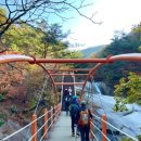 축제코스 이미지