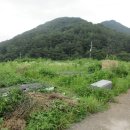 내금마을회관 이미지