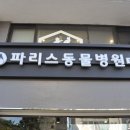 파리스동물병원 이미지