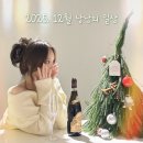 김선생펫푸드 | 2025.12월 낭낭의 일상 (철이생일,대부도여행,크리스마스,주현이집들이,연말)