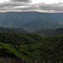 춘양역 | 한반도 원시림 소멸 , 일제의 수탈 , / +