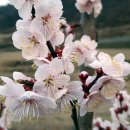 가서농장2 이미지