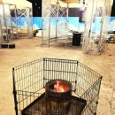 광암로 | 하남 고기집 삼겹살 고기집 캠핑장 느낌나는 분위기 이꾸저꾸