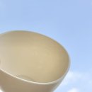 (주)닥터콜라겐 | 모공, 탄력, 붓기 한 번에 잡는 콜라겐마스크팩, 닥터슈라클모델링팩