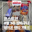 코스트코 이번주 뭐 샀나? 레이온 팬티 대박템 발견 (현실 후기)