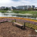 옥정중앙공원 이미지