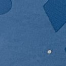 스타로미안연합의원 이미지