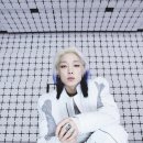 친한친구 bnt뉴스