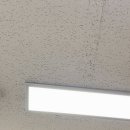 냐만 아는데 | #컨디션 나락의 길로