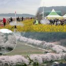 우주영재과학 이미지