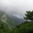 희생과 화합 이미지