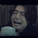 펫바라기 이미지