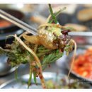 도청사거리 네이버블로그