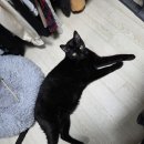 컨텐츠 어떻게 유지하려하는지 의문 이미지