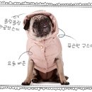 중앙세탁 이미지