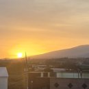 애월다래네 이미지