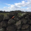 당근펜션 이미지