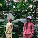 (주)월드컬렉션 이미지