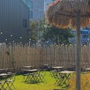 탄스비치 이미지