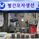 빨간모자생선 네이버블로그