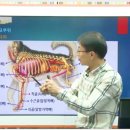 미용하는 강아지 이미지