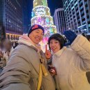 초롱슈퍼 | 서울 청계천 빛초롱 축제 잉어킹 포켓몬 연등 야경