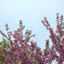 (주)달곰스튜디오 | 전주여행_시댁 식구들과 다녀온 첫 여행 Day 2.