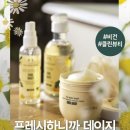 데이지화장품