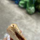 아영이네국화빵 이미지