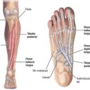 헬스보이짐 앤 필라걸 용문역점 이미지