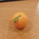 은주농장 이미지