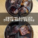 카페 유틸리티