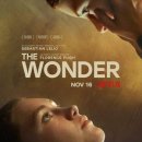 Wonder 이미지