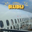 이삭애견 | 여수공항 국내여행 제주도 아시아나 애견동반 탑승후기 내돈내산
