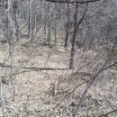 매수1리마을회관 이미지