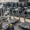 고릴라 멀티짐 이미지