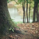 선릉숲정신건강의학과의원 이미지