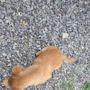 영오경로당 이미지