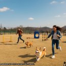 생성도시 - 가족 이미지