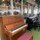 샤론농장 이미지