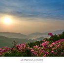 아영면 일대마을 이미지