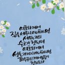 쌓다 I 바나(בנה) 이미지