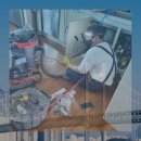 부산한약품 이미지