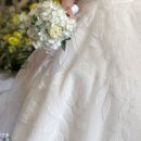 버니스투어 | 춘천 니타스냅·바이버니·원주 포토라임… 강원도 요즘 웨딩 새 소식 한눈에