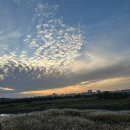 태양목장 | 생태공원 가을 나들이 후기 (내돈내산) — 염전체험·핑크뮬리·소금놀이까지, 교회 목장모임 완전 정리