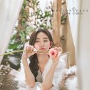 데이즈스튜디오 이미지