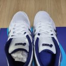 정왕배드민턴장 | 아식스 배드민턴화 로테 리브레 FL5 구매 후기