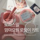 라라소아청소년과 | 맘마요원 로랑이 키트 받았어요! 시판이유식 로하스밀 서포터즈 후기